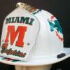 Dolphins Fire Helmet 